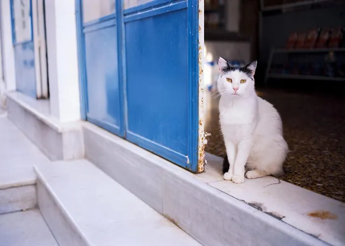 Amazing Naxos For 6 Modern Furnishings Apartman