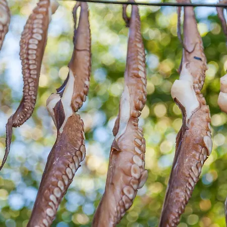 Amazing Naxos For 6 Modern Furnishings * Naxos City