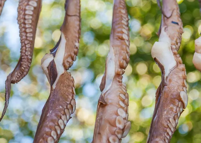 Amazing Naxos For 6 Modern Furnishings * Naxos City